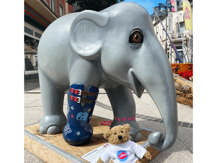 Teddylux et l’Elephant Parade Tour Luxembourg 2021