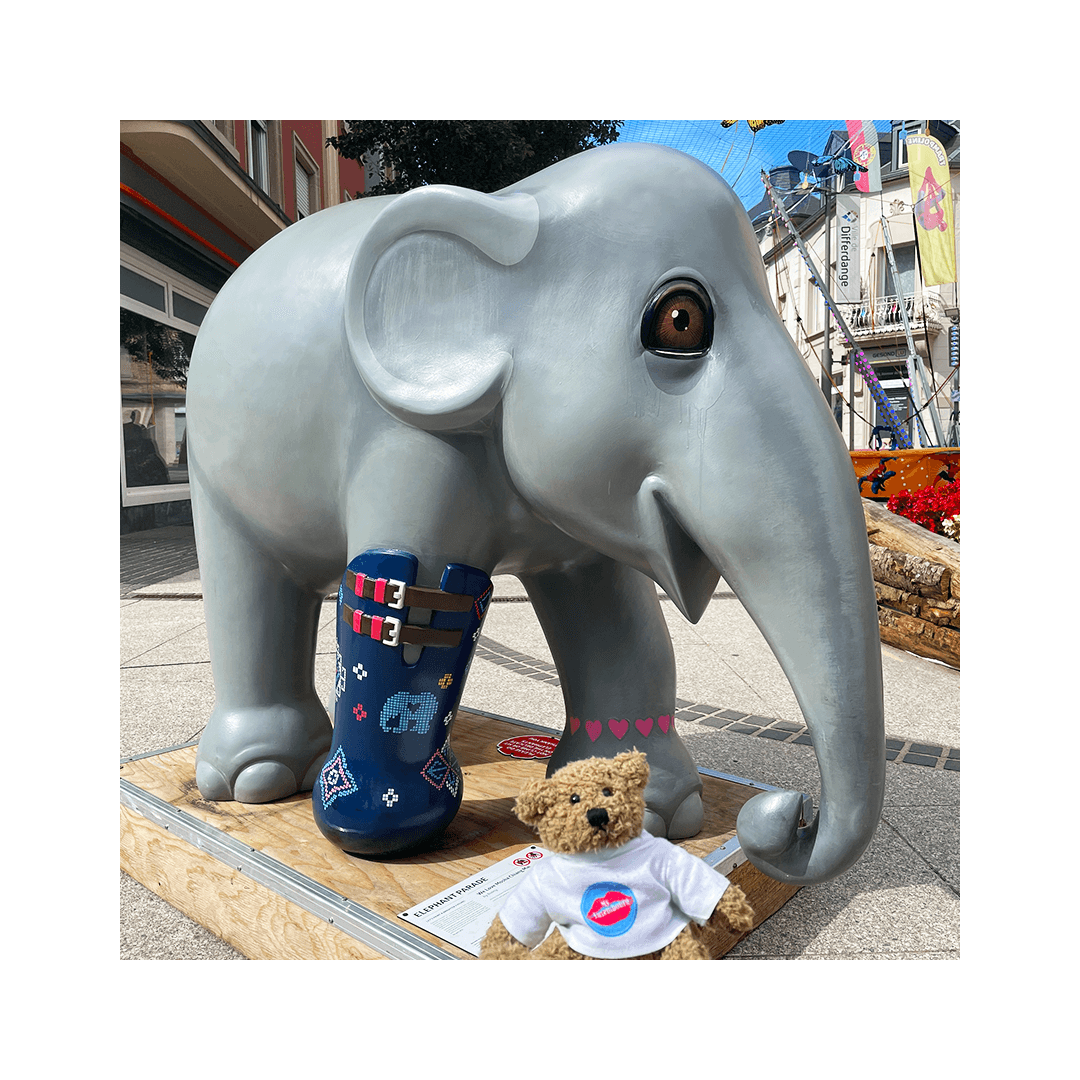 Teddylux et l’Elephant Parade Tour Luxembourg 2021