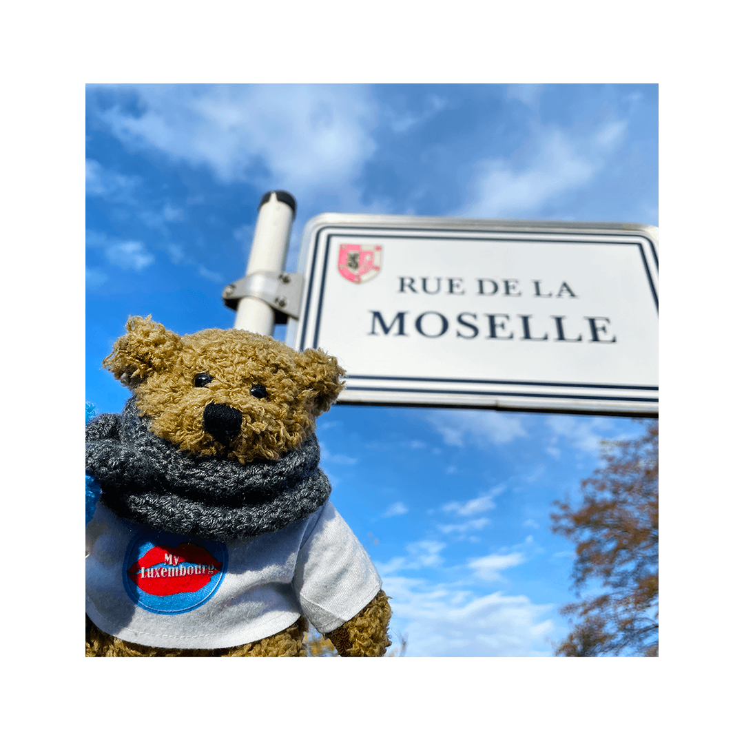 Teddylux rue de la Moselle